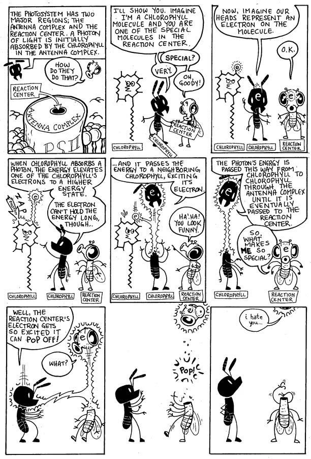 Photosynthesis_pg07 Photosynthesis_pg07