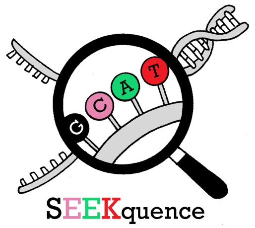 SEEKquence_text_color_gray SEEKquence_text_color_gray