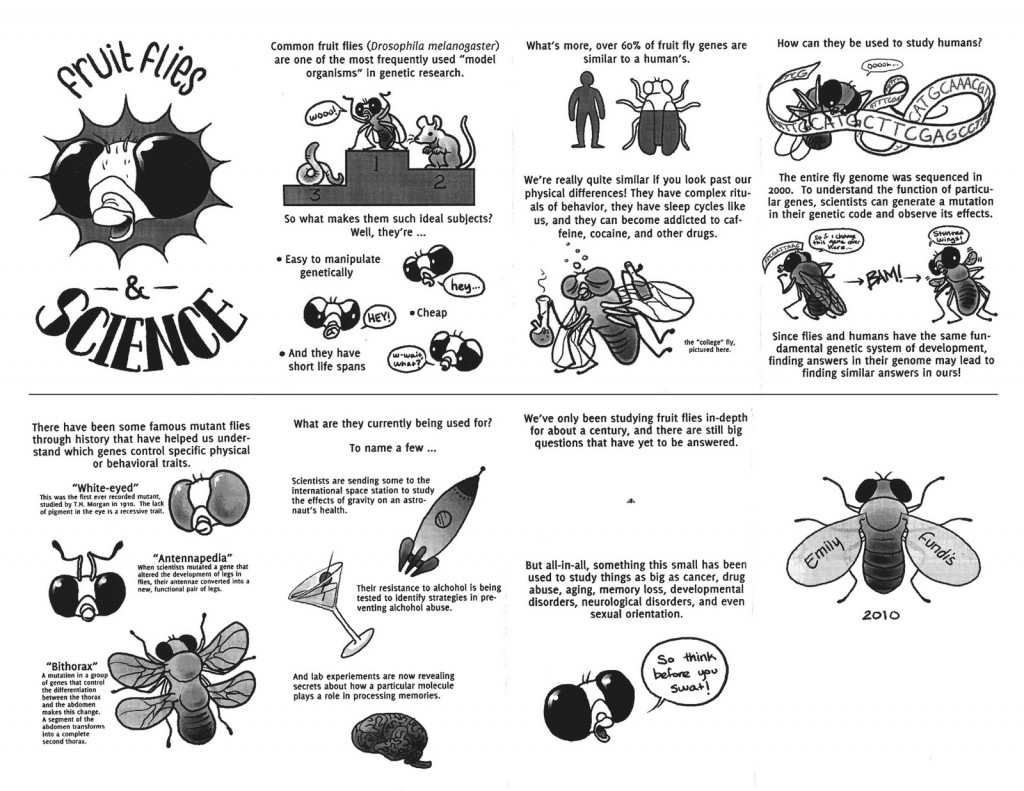 fruitfliescomic(Fundis) fruitfliescomic(Fundis)