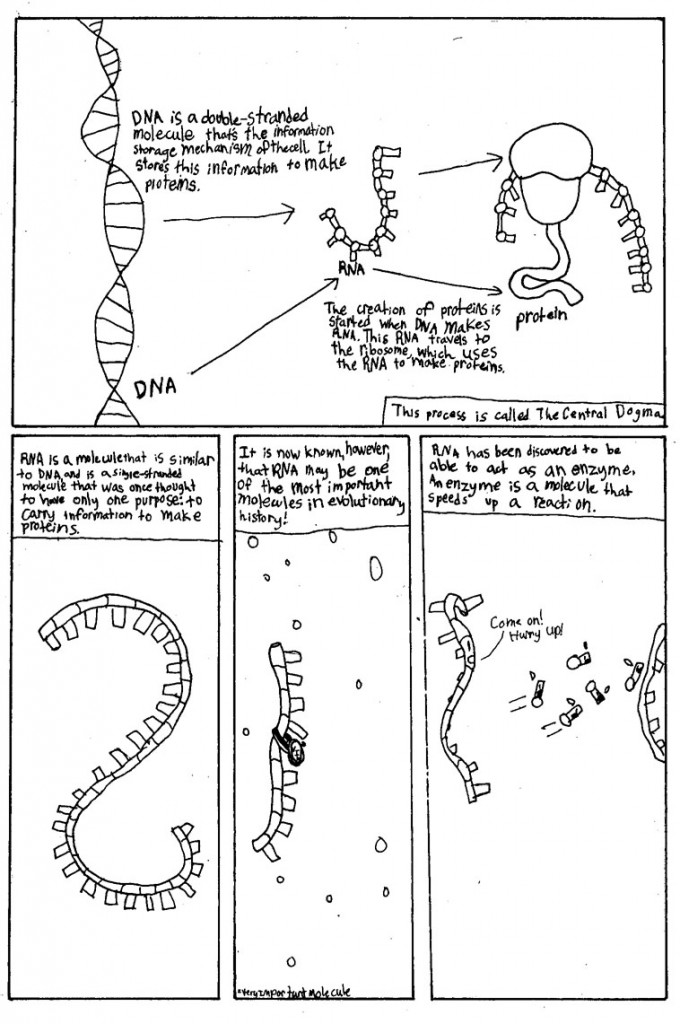 Ribozymes_Page_01