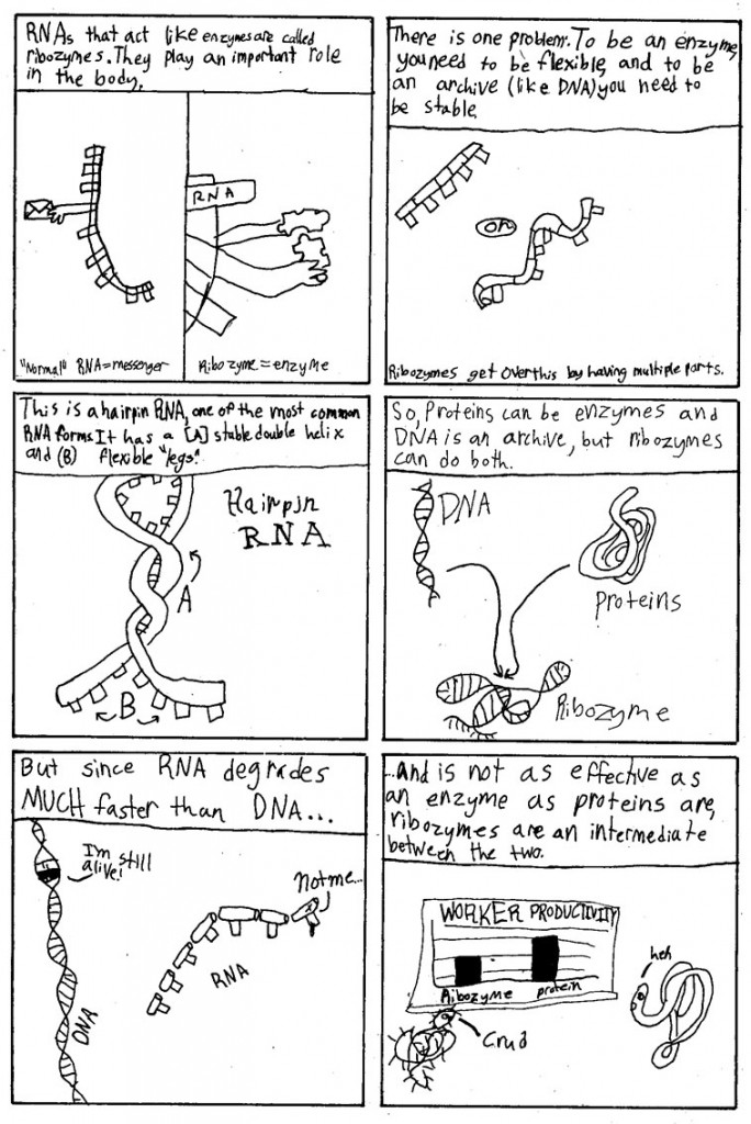 Ribozymes_Page_02