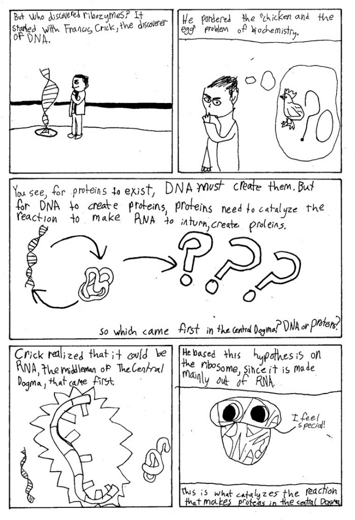 Ribozymes_Page_03