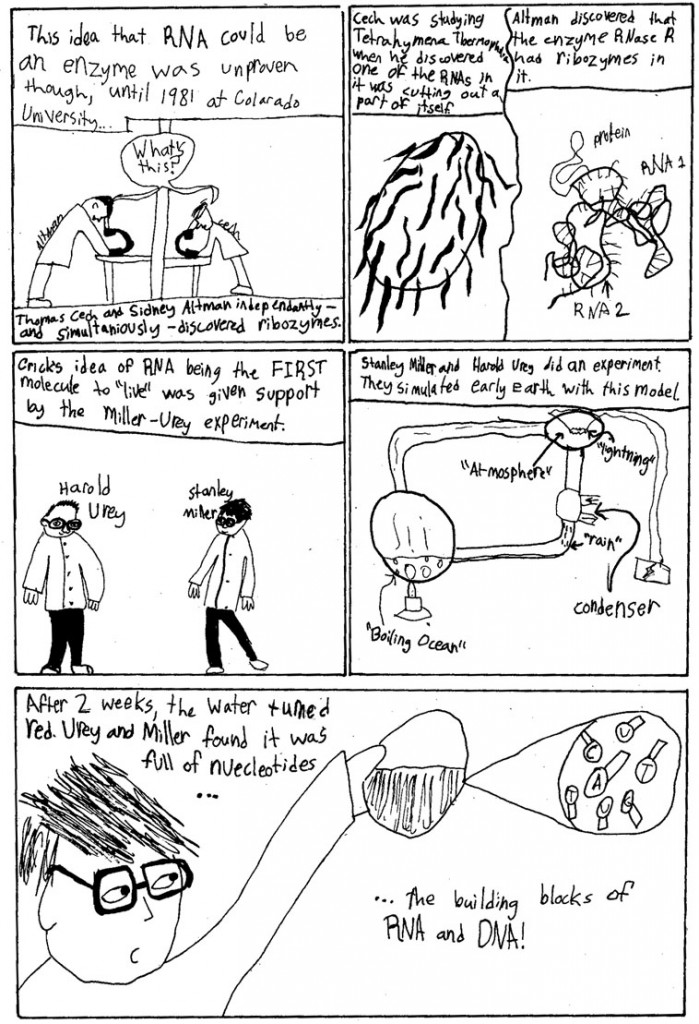 Ribozymes_Page_04