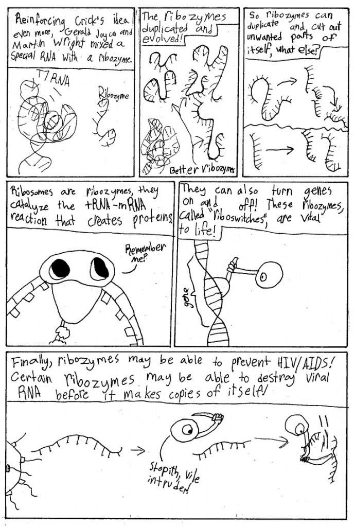 Ribozymes_Page_05